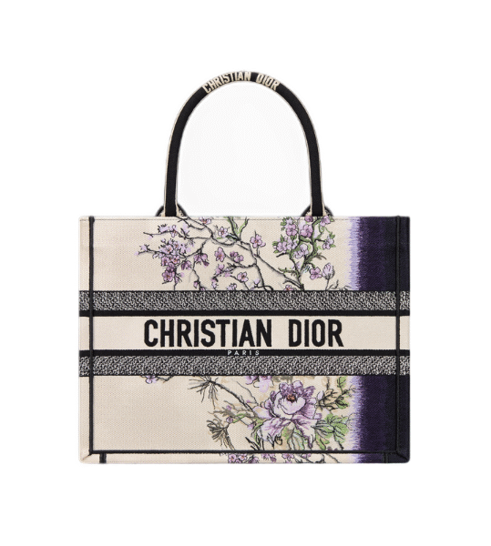 Dior Book Tote